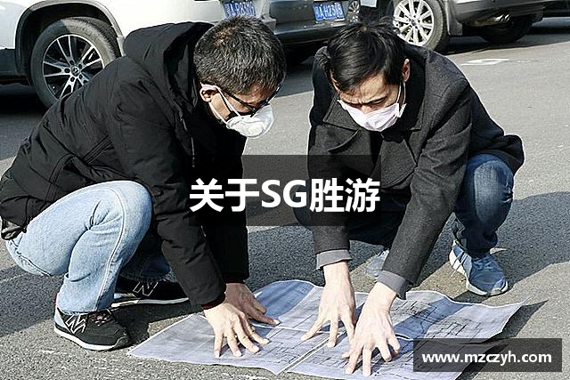 关于SG胜游